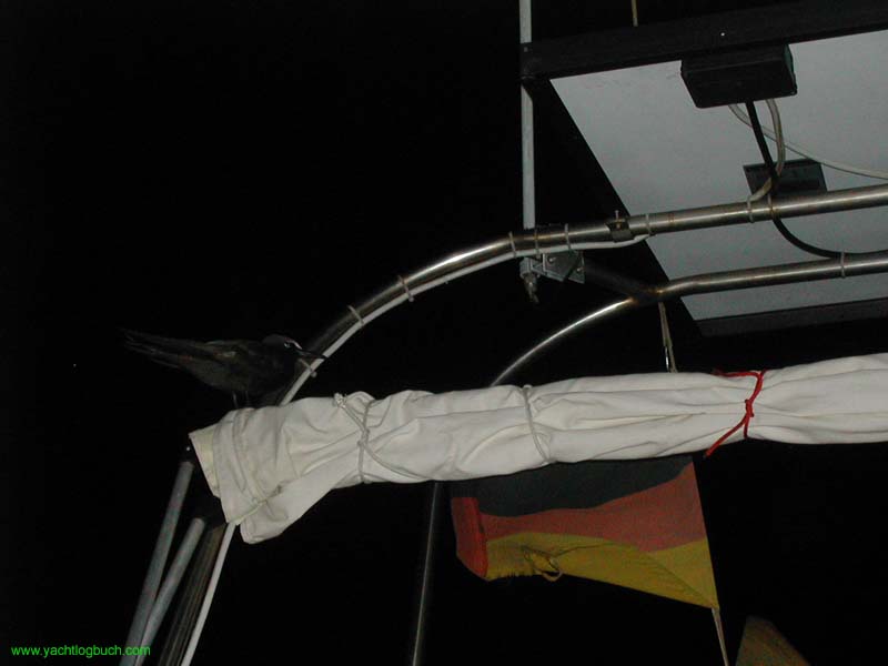 28 Die besucht mich regelmaessig!